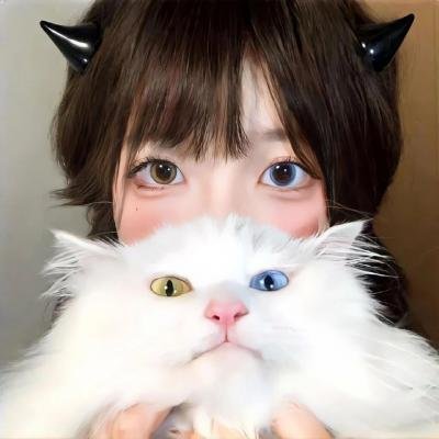 神驹黑美人